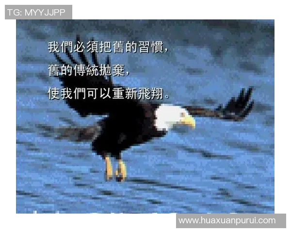 张帆的奋斗故事：从平凡到卓越的成长历程与人生启示