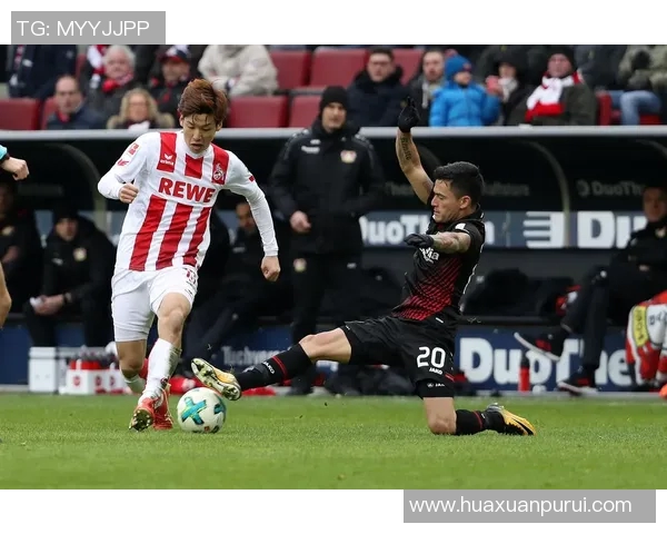 狼堡新援加冕德甲夺冠之路 狼堡新援加冕德甲夺冠之路